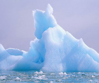 Journée Mondiale du Climat