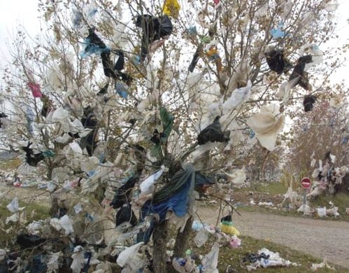Journée mondiale sans sacs plastique