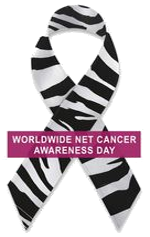 Journée mondiale de sensibilisation aux tumeurs neuro-endocrines