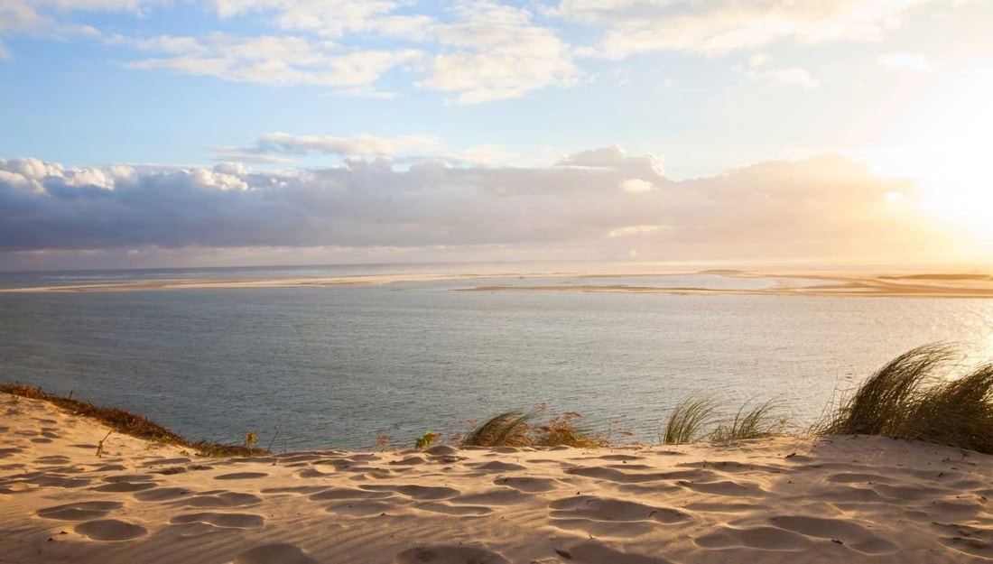 J'ai découvert la plage girondine qui révèle 110 km² de trésors marins à chaque marée basse