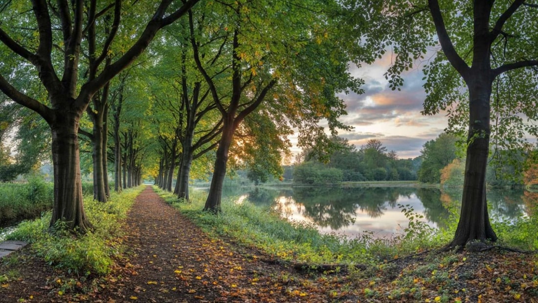 La plus belle collection d'arbres de France se cache dans ce département