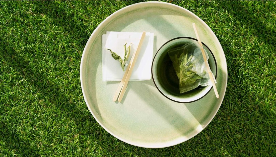 La plante miracle qui combine anti-stress, digestif et anti-inflammatoire en une seule tisane