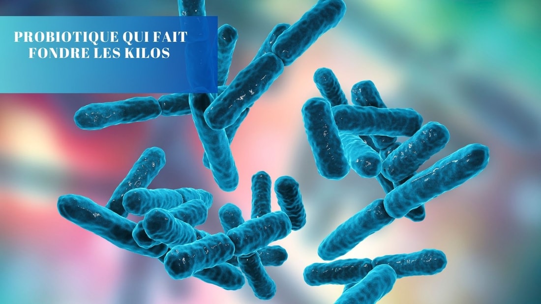 Probiotique pour faire fondre les Kilos: Découvrez les Avis & Résultats!