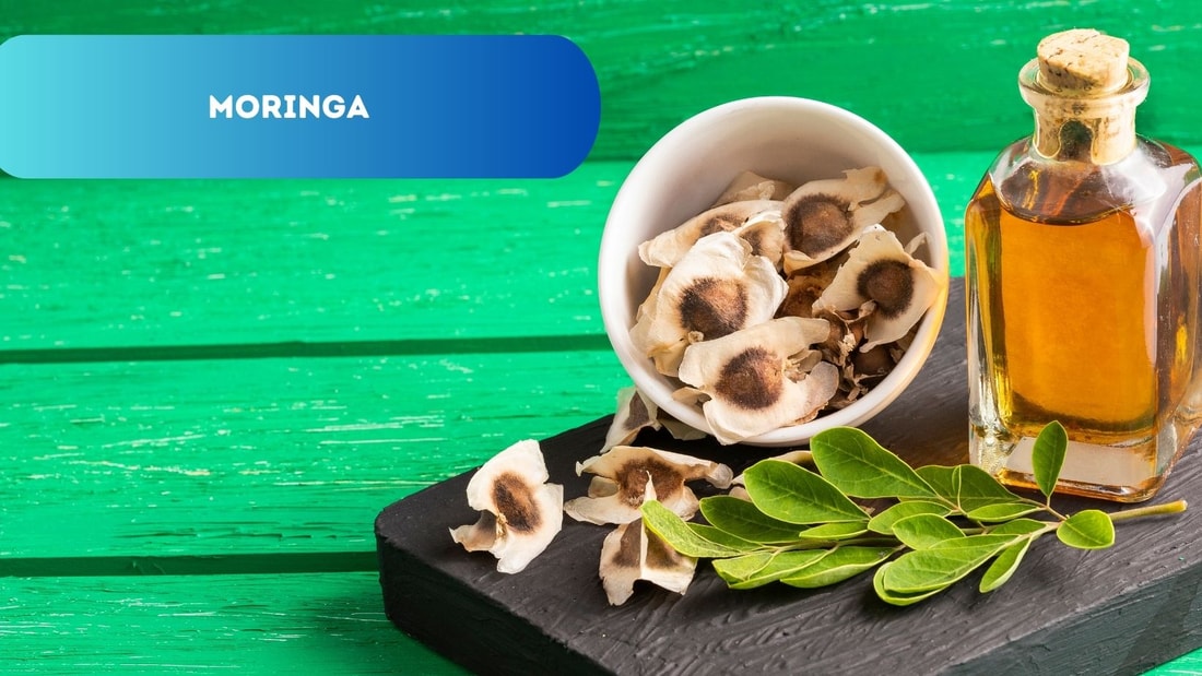 Moringa et Santé : Ces maladies qu'il peut aider à guérir