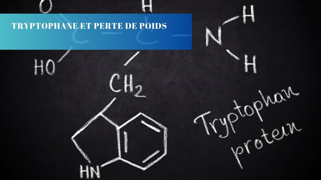 Tryptophane pour la perte de poids : Vérités et Mythes