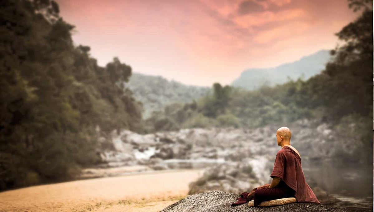 Shinrin-yoku : pourquoi 20 minutes en forêt boostent votre système immunitaire