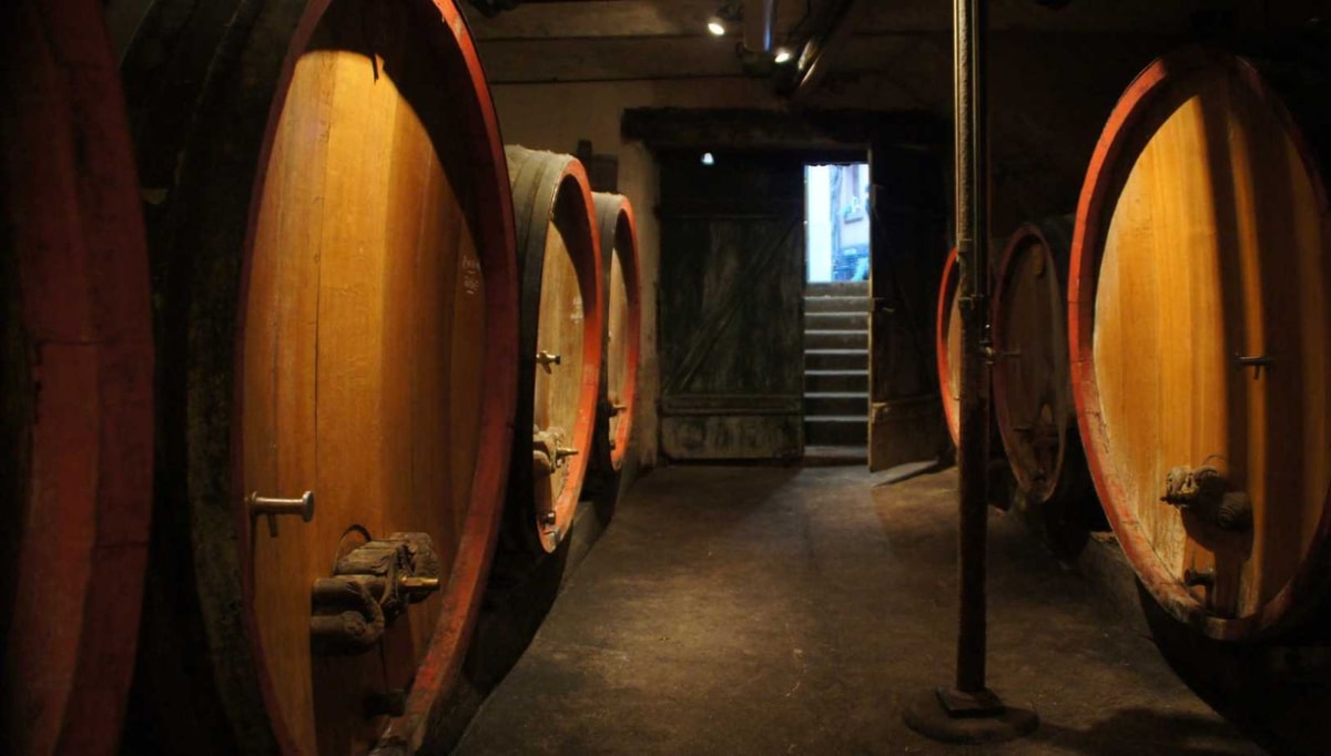 170 km de route des vins : un voyage sensoriel au cœur de l'Alsace hivernale