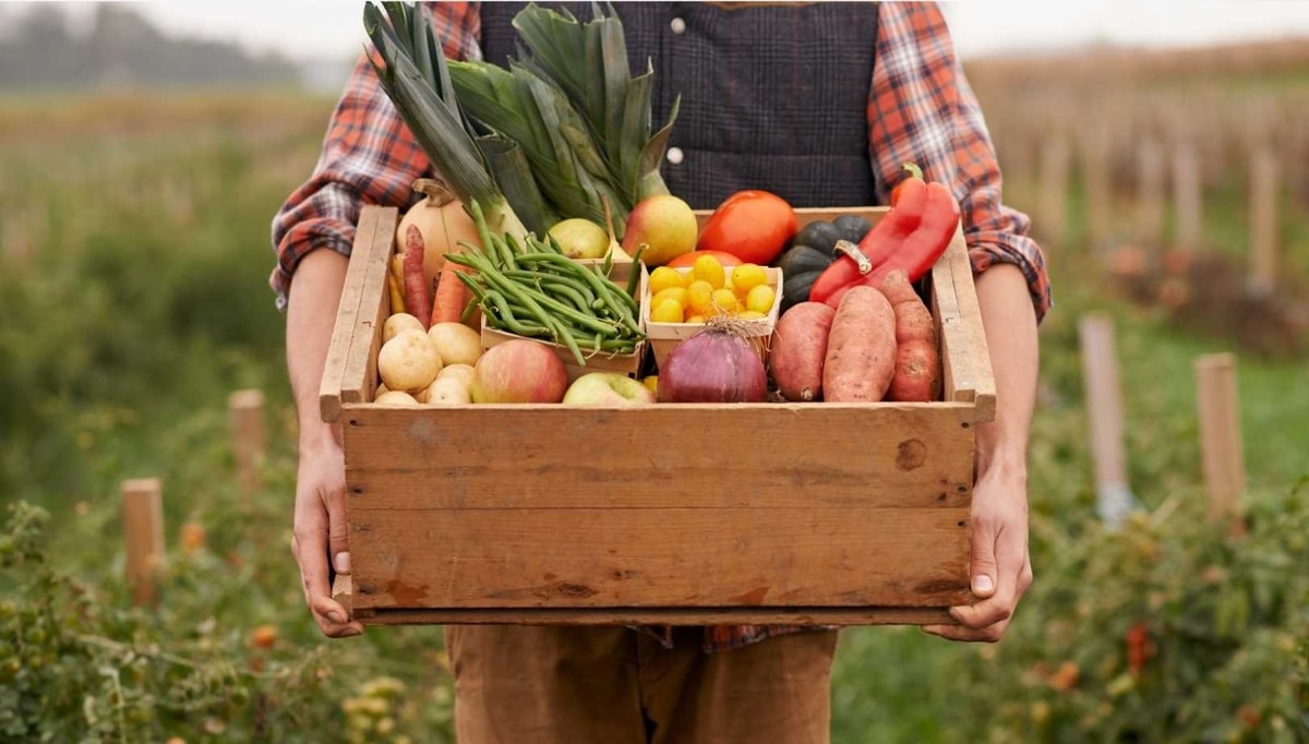 80% d'aliments alcalinisants : la formule qui sauve vos os selon les chercheurs