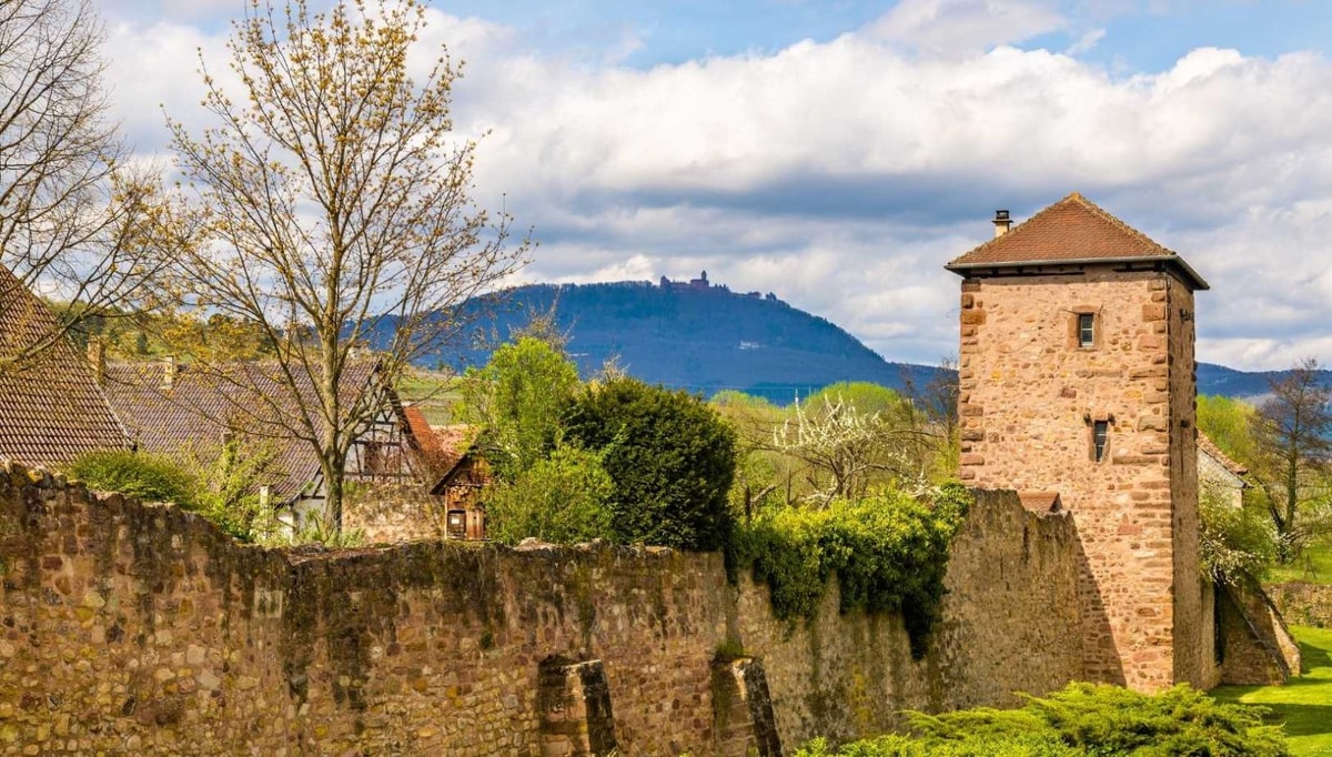 Entre vignobles et maisons à colombages : découvrez ce trésor caché de l'Alsace authentique