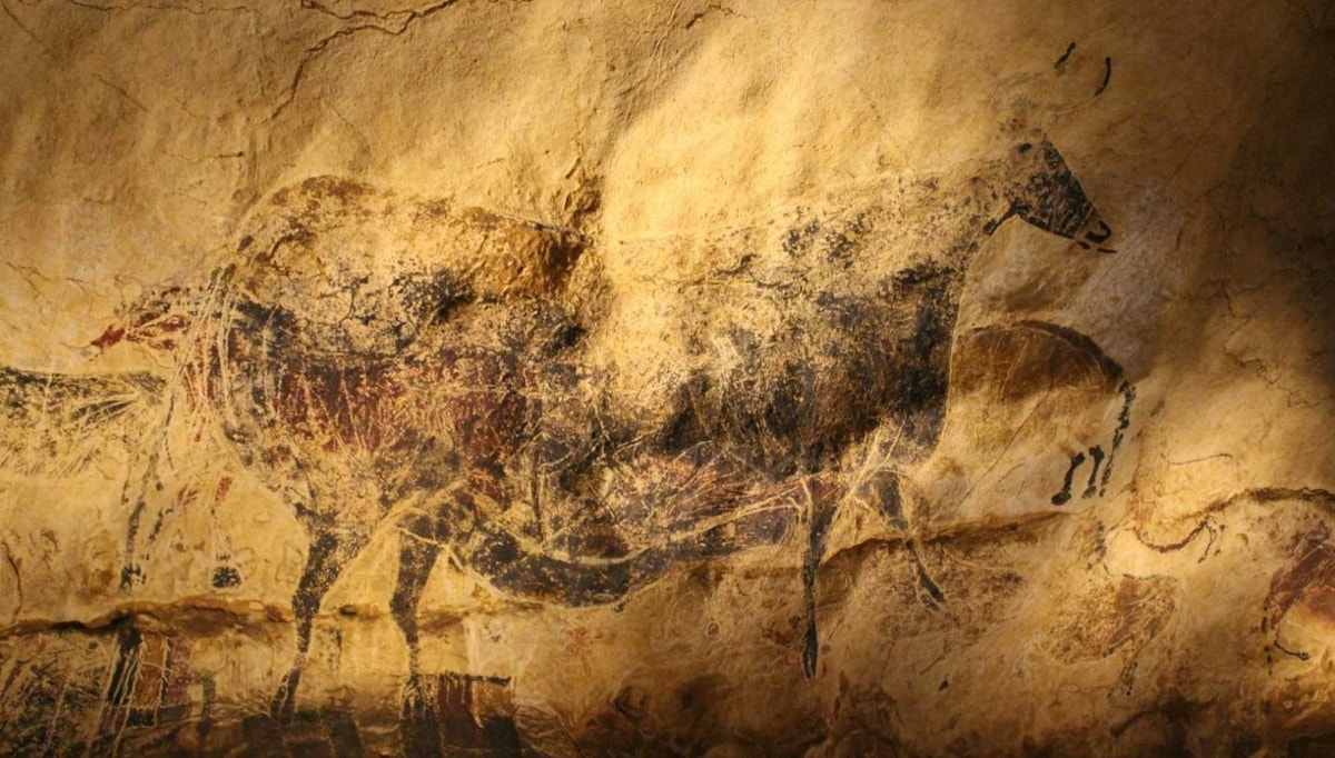 Le secret des structures préhistoriques de ce village d'Occitanie qui fascine les archéologues