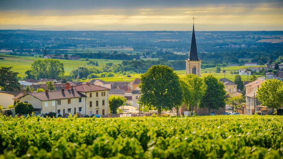 Ce village français où chaque habitant semble avoir du raisin dans les veines