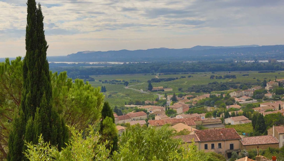 Un terroir unique, des méthodes ancestrales : les coulisses de l'un des vins les plus prestigieux de France