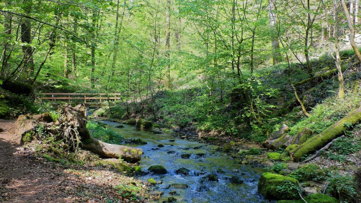 Dans cette région, vous pourrez y pratiquer cette activité unique : l'exploration de failles temporelles minérales