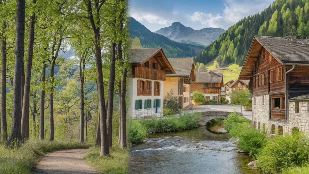 Découvrez cette commune française où 70% du territoire est recouvert de forêts