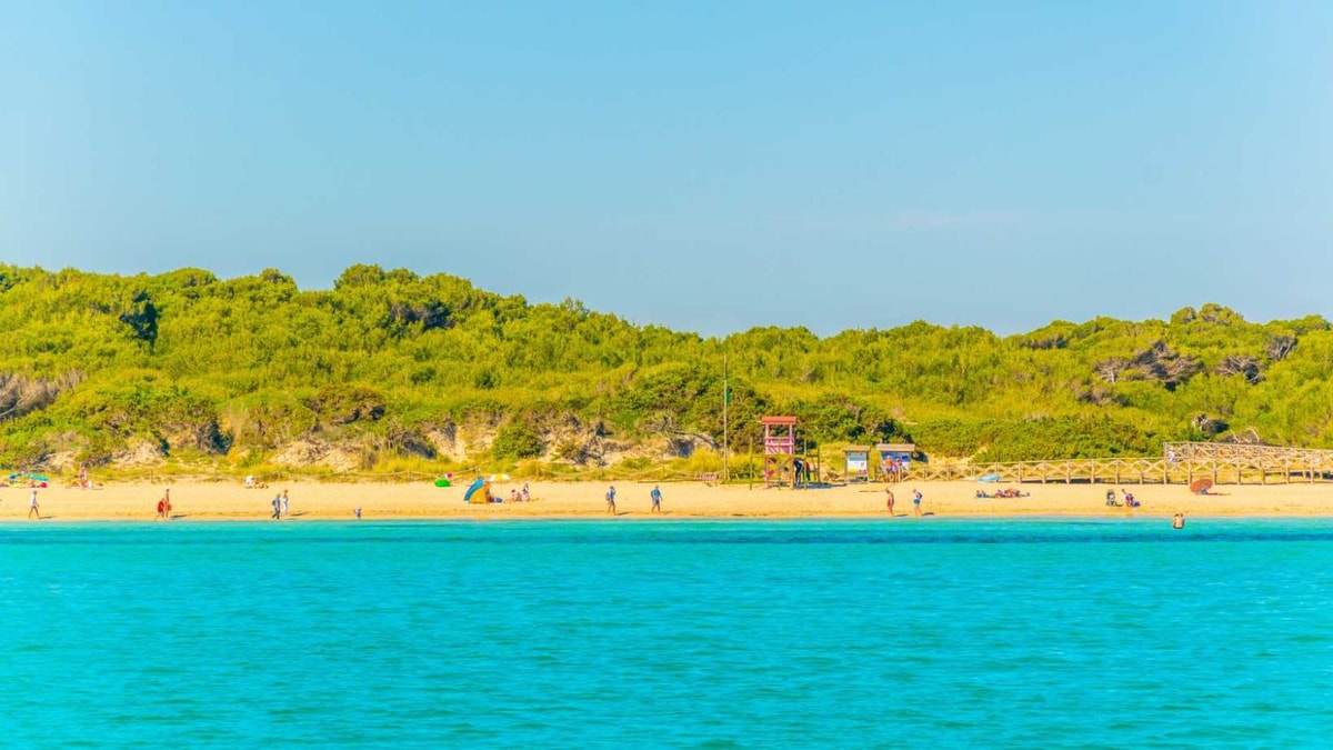Entre dunes protégées et eaux turquoise : le paradis existe à seulement 2h30 de vol de France
