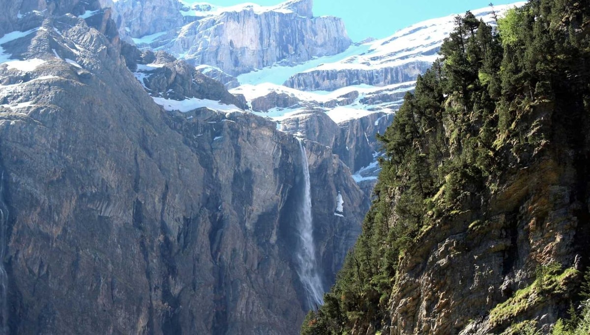83 plantes n'existent qu'ici : ce cirque des Pyrénées garde ses secrets