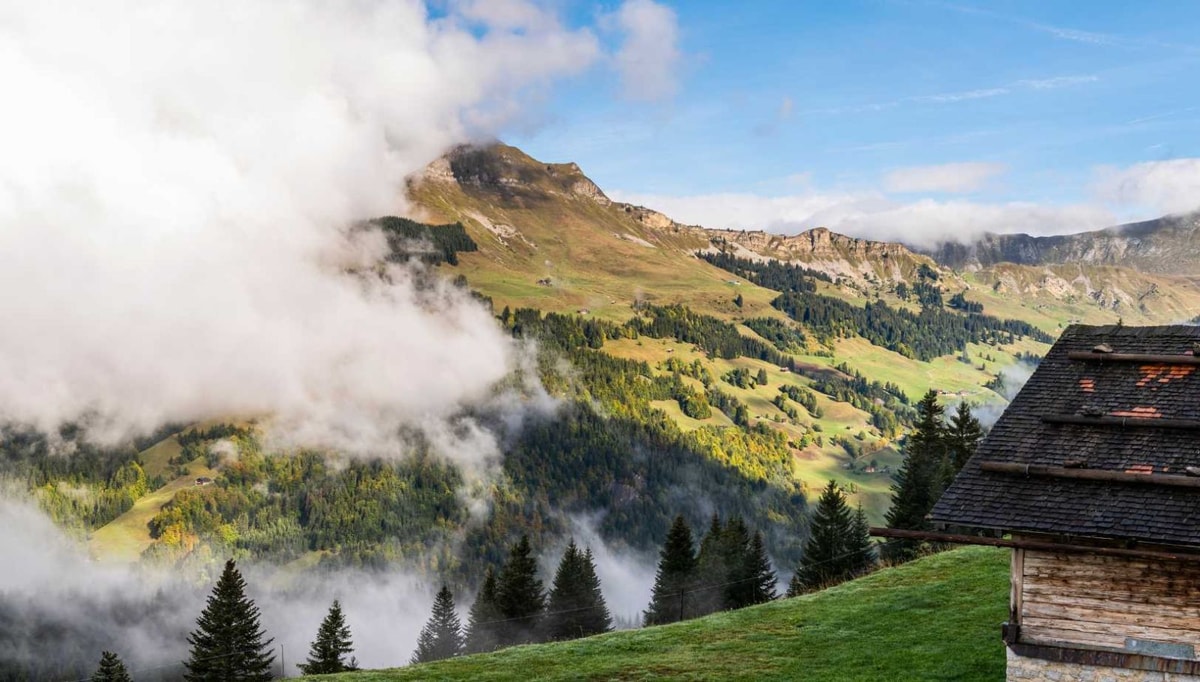 Ce village de montagne cache le secret du fromage le plus convoité des chefs