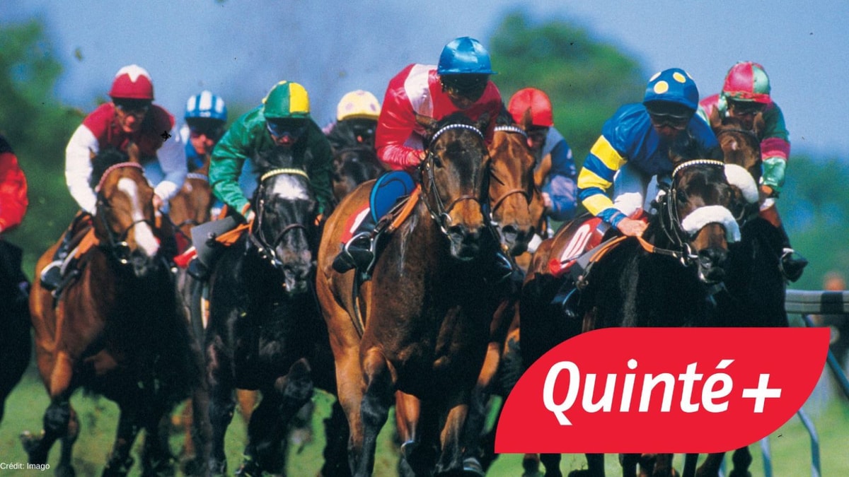 Quinté+ du dimanche 2 juin 2024 à Chantilly : Analyses, Pronostics et Coups de Coeur