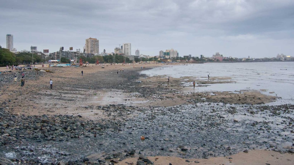 La plage aux eaux interdites : reportage dans l'enfer environnemental d'une mégalopole