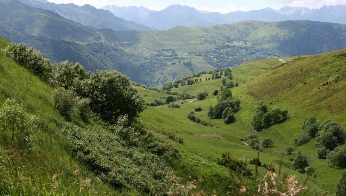 J'ai testé le Vaporarium unique en Europe dans ce village pyrénéen : bluffant