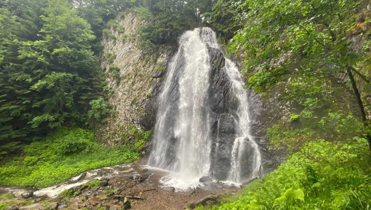 Les orgues basaltiques de cette cascade française racontent 3 millions d'années d'histoire volcanique