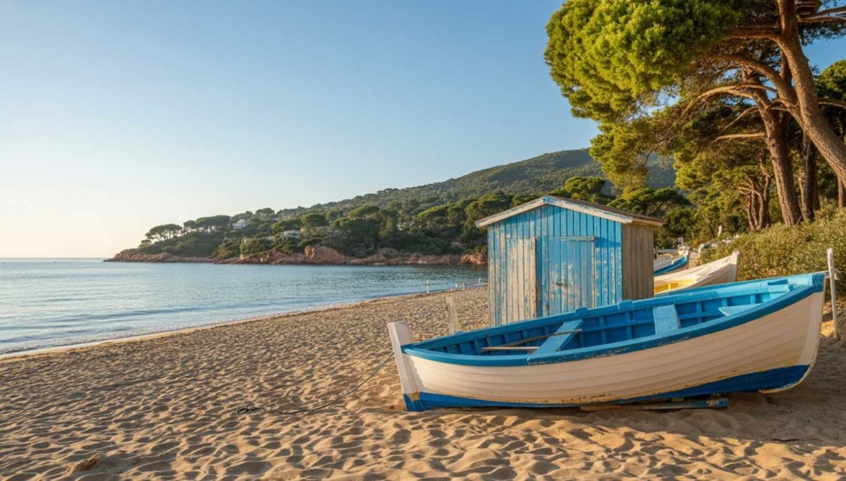J'ai nagé avec 3 espèces de dauphins sur cette plage provençale méconnue