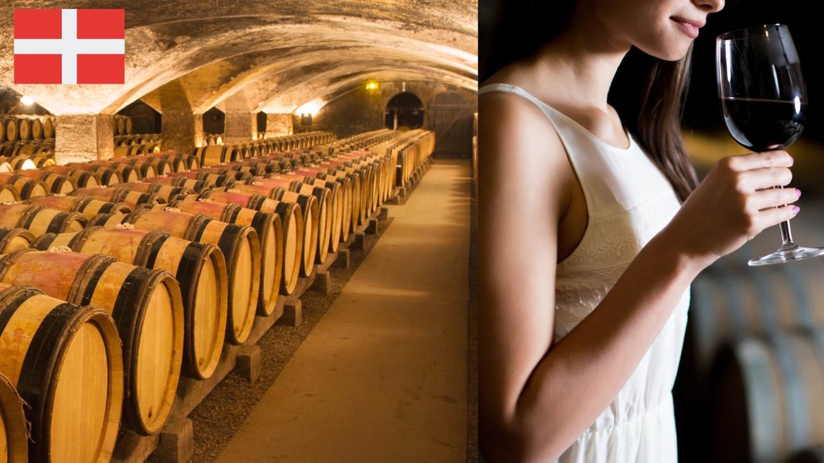 Chambéry: La ville qui abrite les plus grandes caves à vin d'Europe !