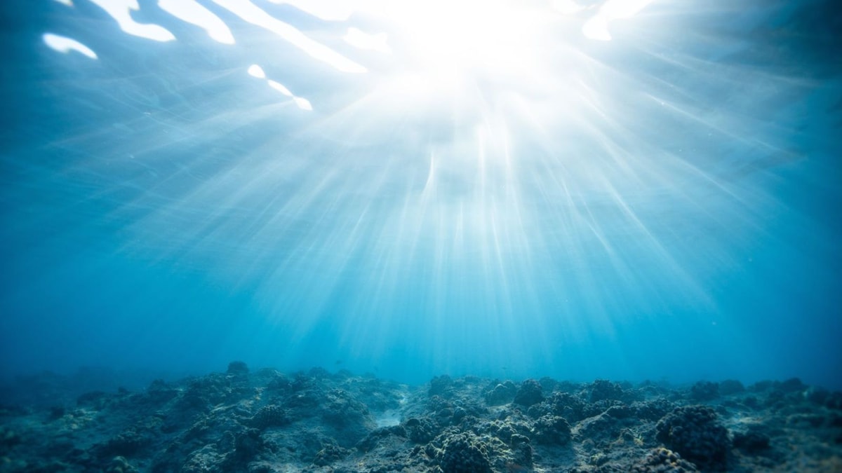 L'apoptose des cellules tumorales activée par cet oligoélément star