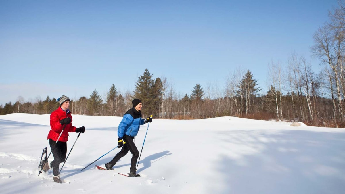 17 km de pistes nordiques à 1500 m d'altitude : le paradis blanc du Plateau de Solaison