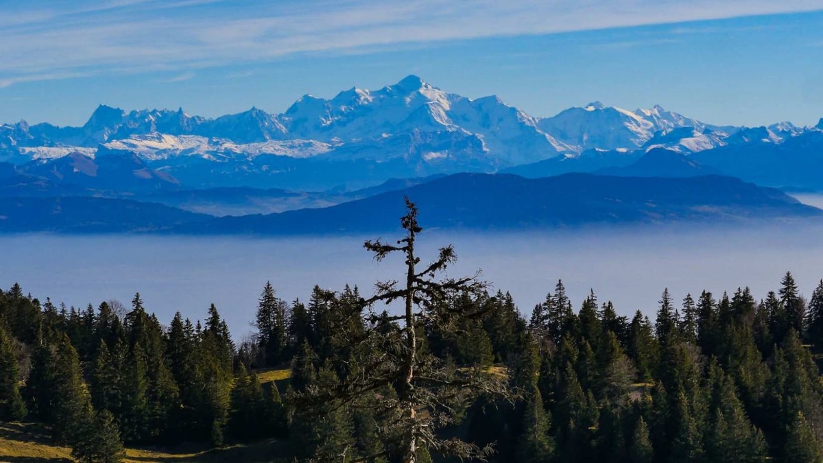 Dole illumine 900 ans d'histoire avec 50 chalets de Noël du 1er décembre au 7 janvier