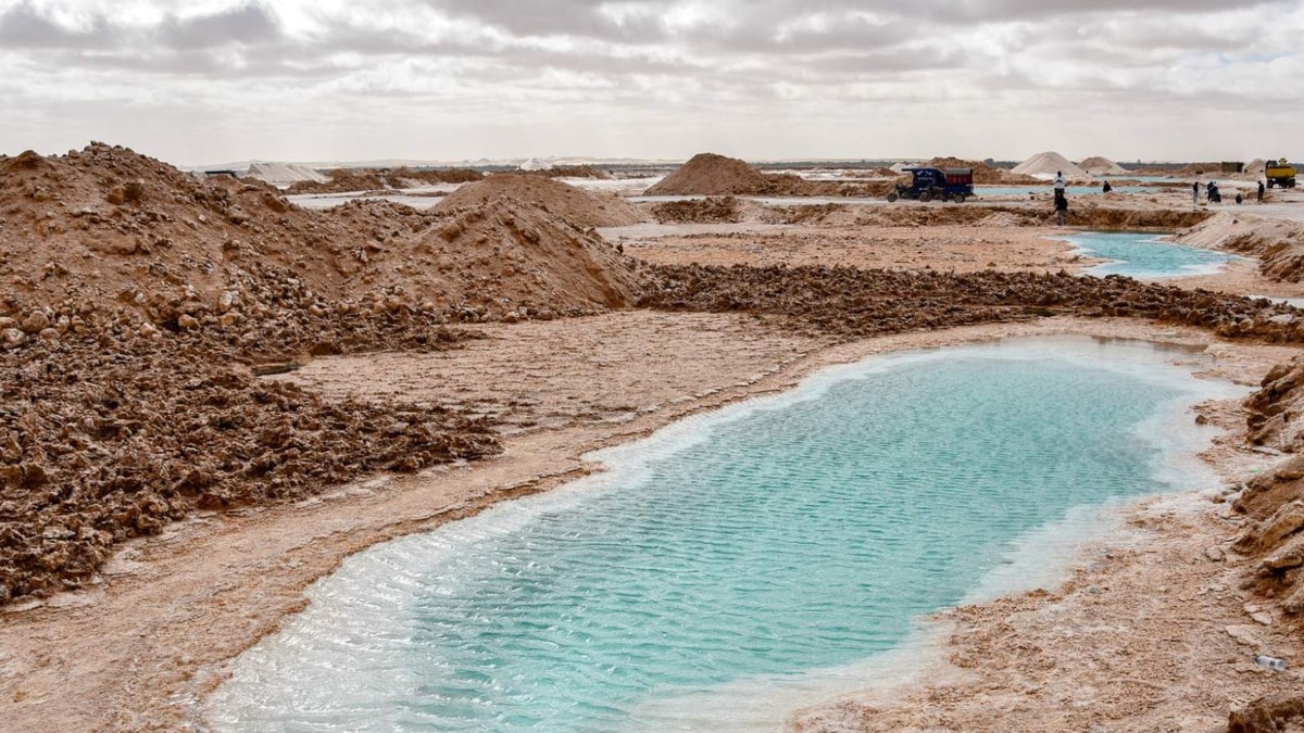 Des eaux turquoises au cœur du désert : l'incroyable oasis de Siwa