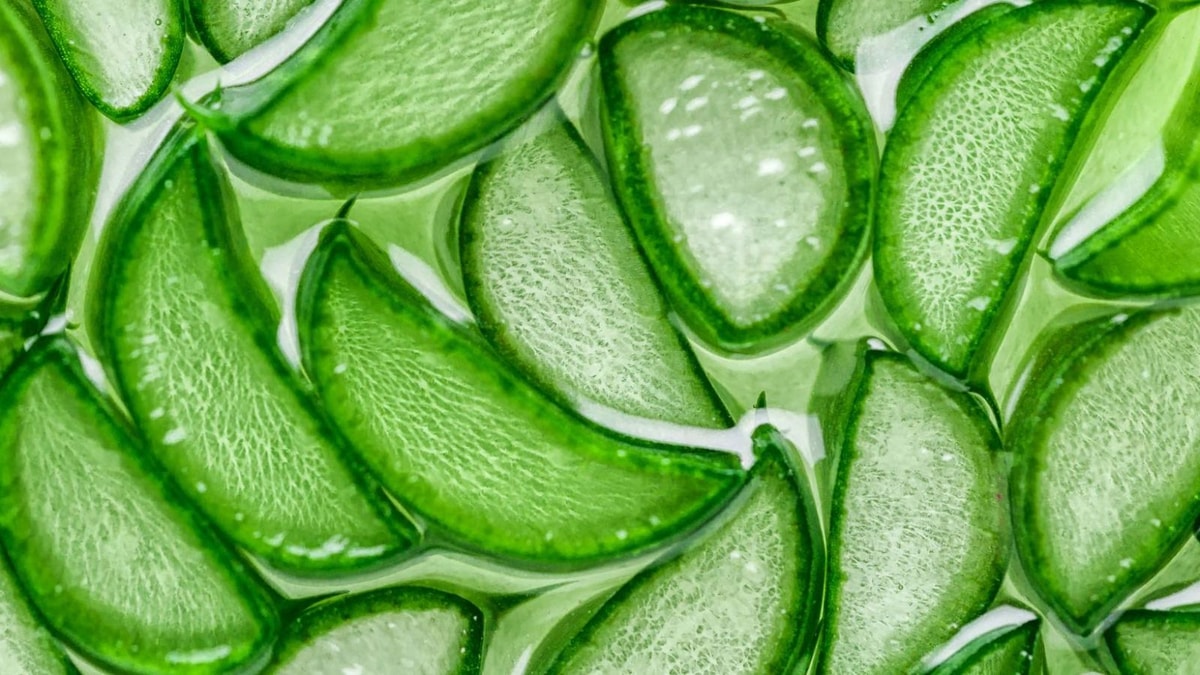 Ma recette à base d'aloe vera pour ne plus jamais avoir de croûtes dans le nez