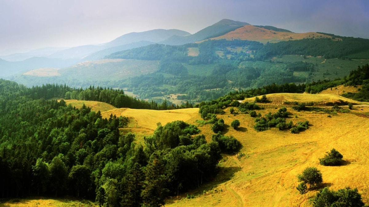 Les Vosges en hiver : 5 sommets au-dessus de 1200m pour des panoramas à couper le souffle