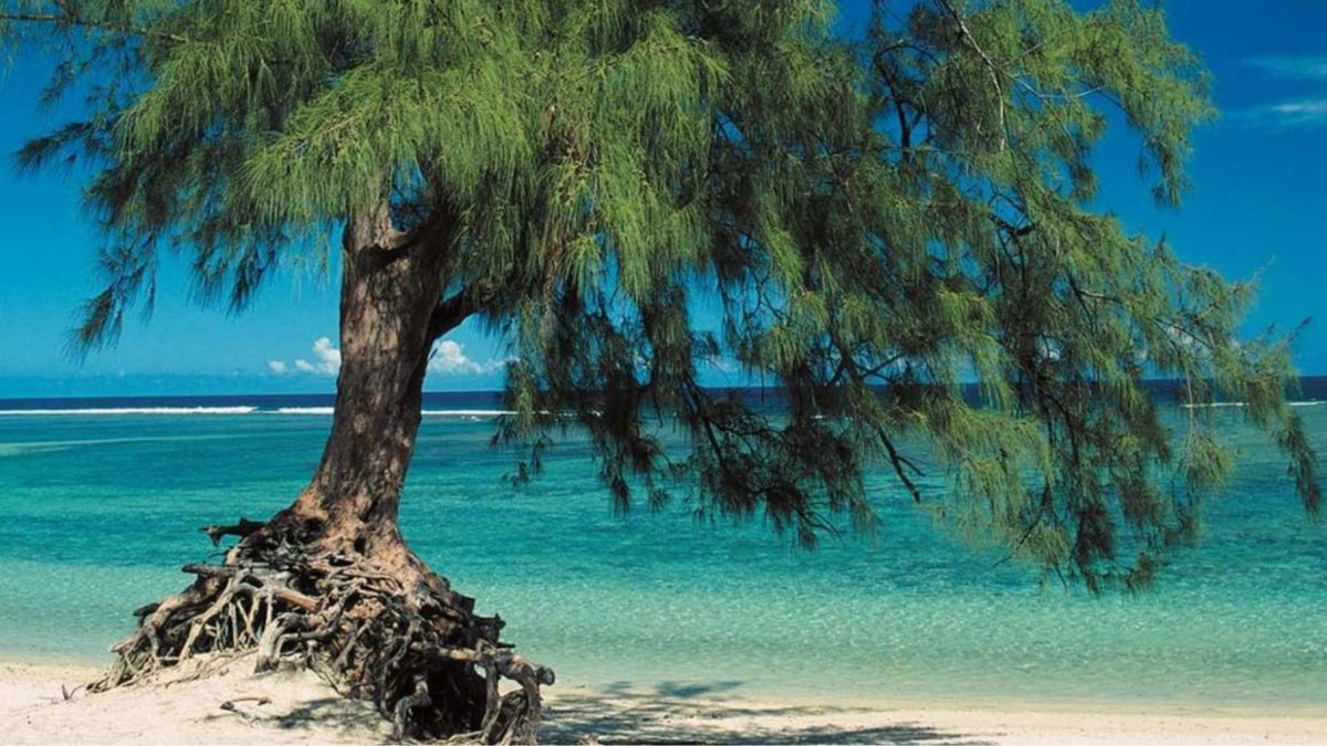 Une plage hors du temps pour se ressourcer