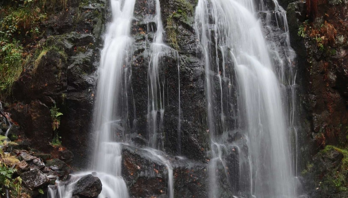 Le secret des jeunes mariés vosgiens : tremper ses alliances dans cette cascade pour un amour éternel