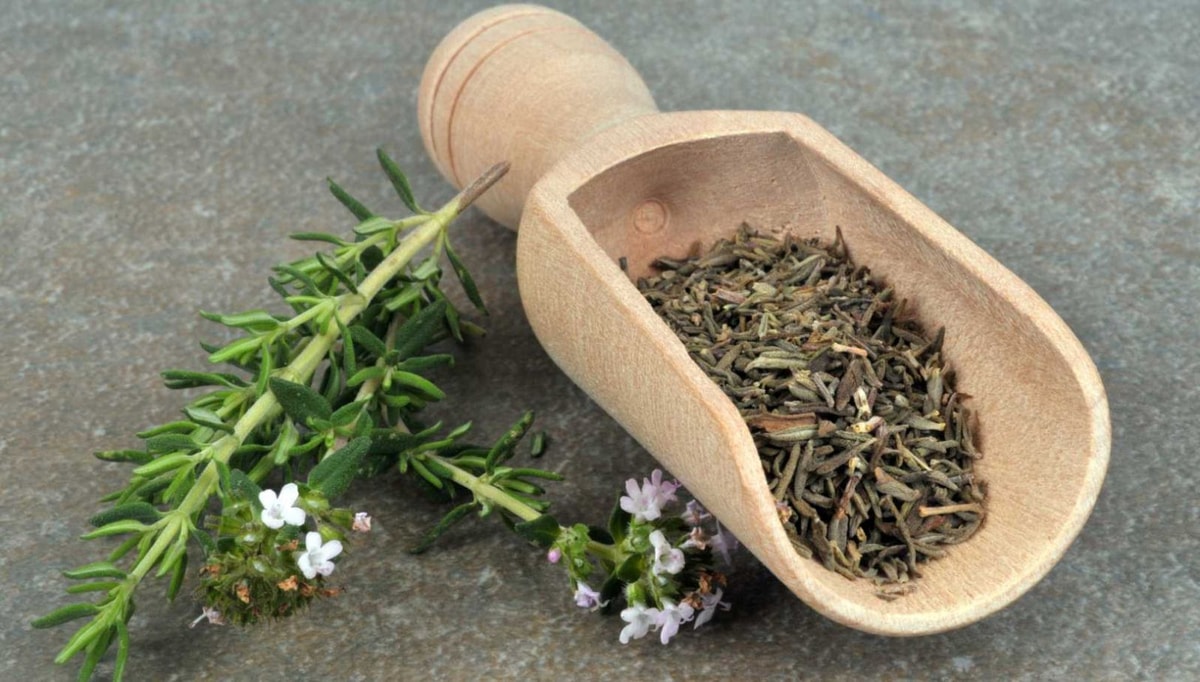 Cette plante aromatique booste votre immunité en seulement 7 jours