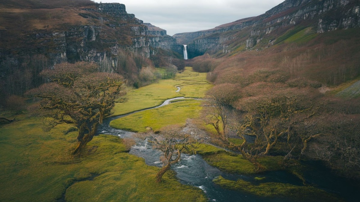 Ce paradis boréal français où survivent des espèces de l'âge glaciaire