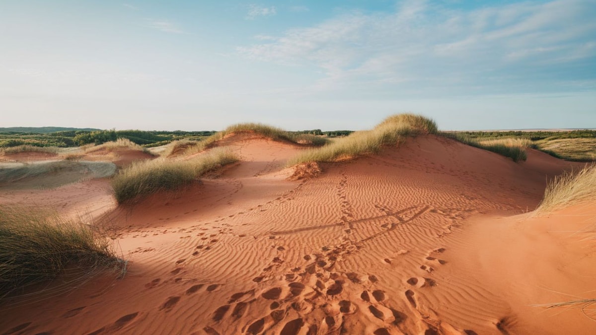 Ces dunes rouges à 1h d'Avignon attirent 150 000 visiteurs chaque année