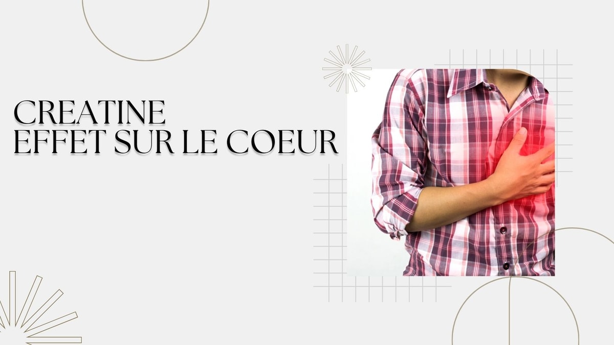 Créatine Effet sur le Cœur : Comprendre son Impact et ses Bienfaits