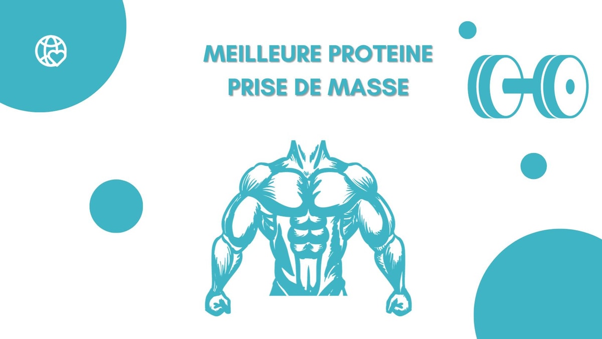 Meilleure Protéine pour prendre du Muscle - Prise de Masse