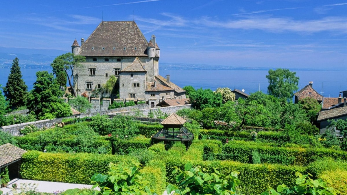 Découvrez le