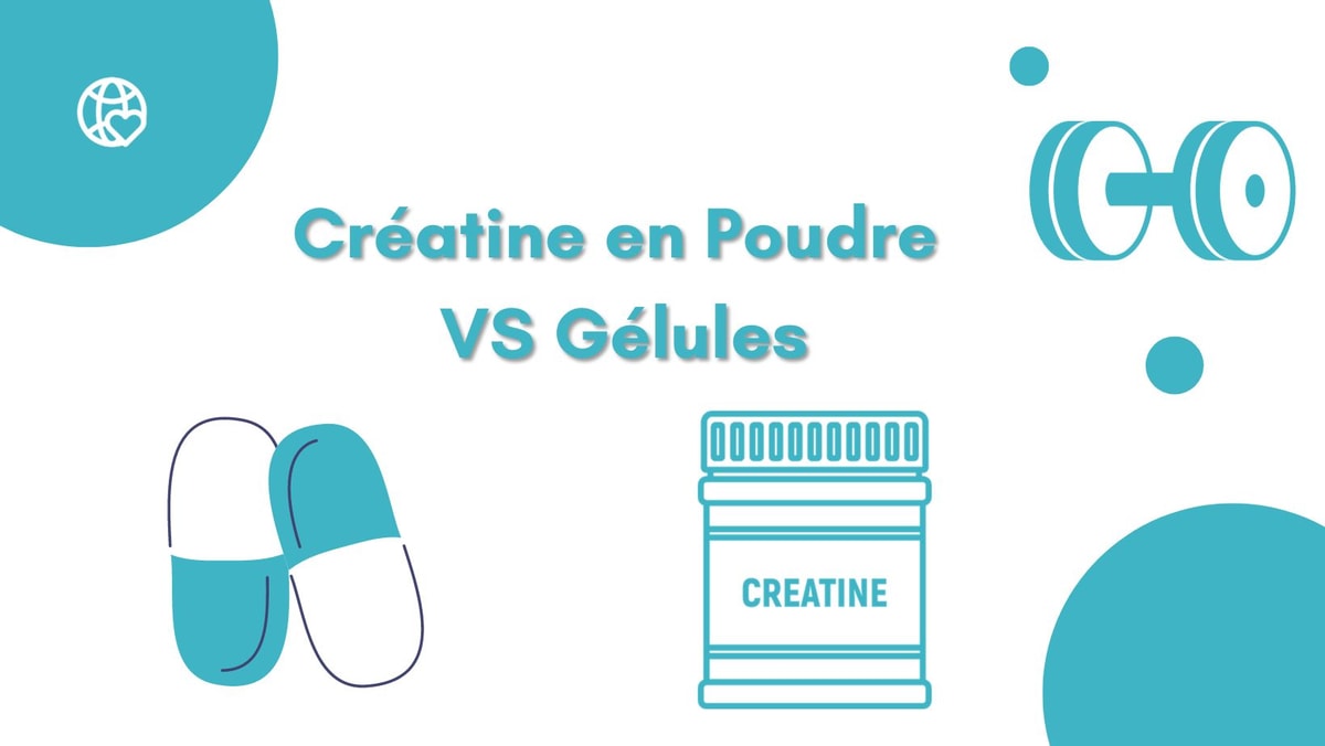 Créatine en Poudre ou Gélule : Quelle Option Choisir pour Votre Fitness ?