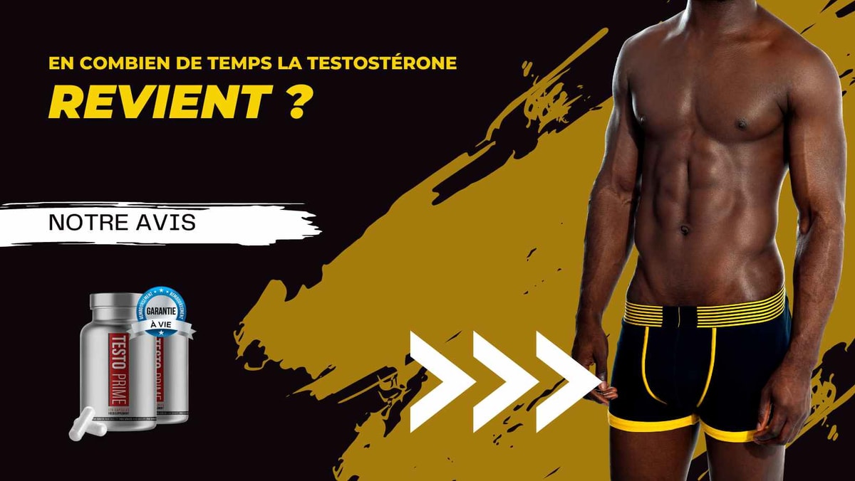 Temps de récupération de la testostérone : En combien de temps revient-elle ?