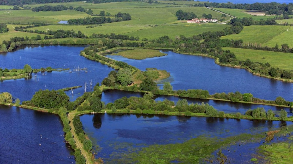 Quel parc naturel abrite plus de 3000 étangs, lui valant le surnom de