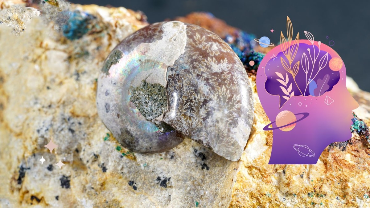 Un pouvoir insoupçonné et unique de la pierre de lune en lithothérapie