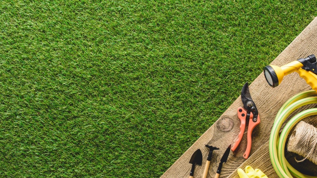 Un jardin qui reste vert tout l'été ? Découvrez les secrets d'un paillage efficace !