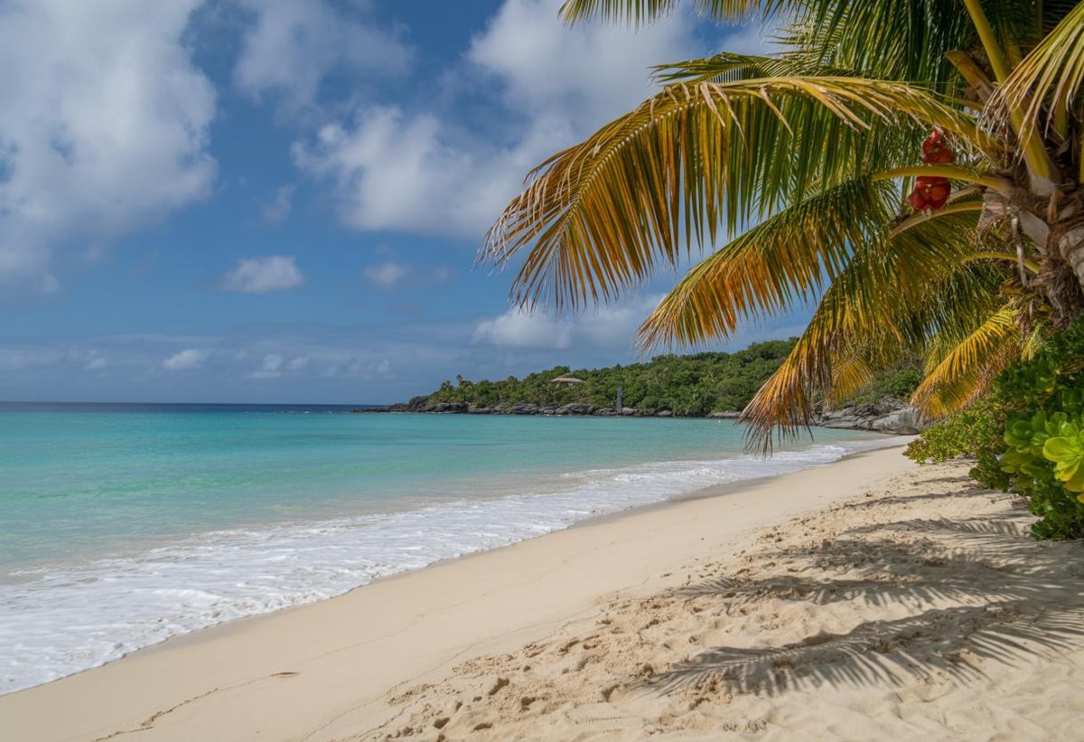 Cette île coûte 3 fois moins cher que la Martinique, 90% l'ignorent
