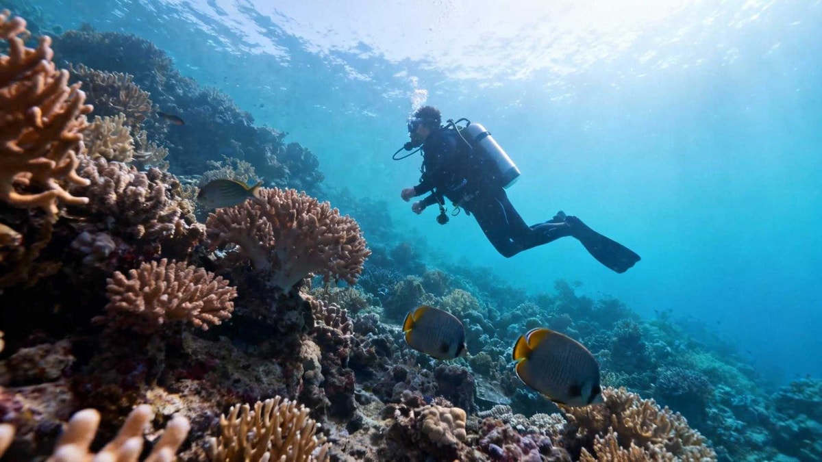 Cette île du Honduras domine la 2e barrière de corail mondiale avec 74m
