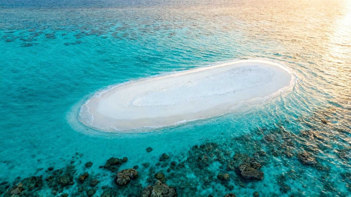Cette île de Maurice fait 0,8 hectare et bat un record mondial marin