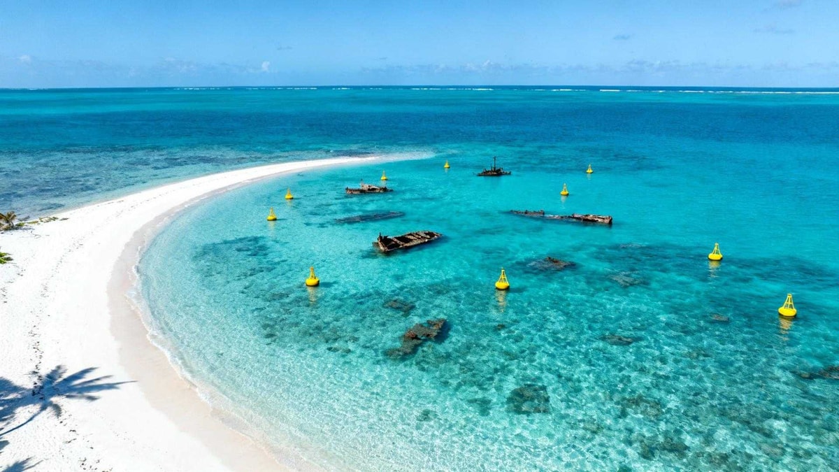 Cette baie de Barbade cache 6 épaves à 80 mètres de nage — aucune autre aux Caraïbes

